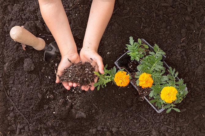 High quality soil is full of nutrients to help your plants thrive